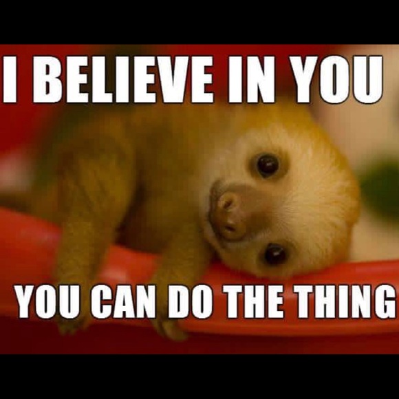 Meet your Posher, Haley - Picture 4 of 8